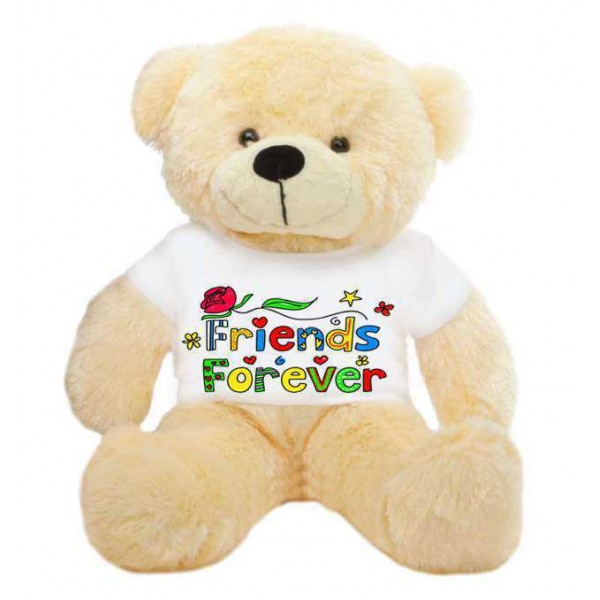 Peach 2 feet Big Teddy Bear wearing a colorful Friends Forever T-shirt